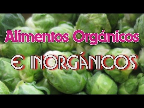 Ejemplos de alimentos orgánicos e inorgánicos