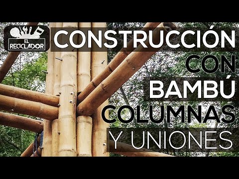 Descubre los usos del bambú en decoración y construcción