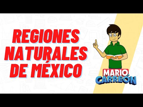 Regiones Naturales de México: Descubre cuáles son