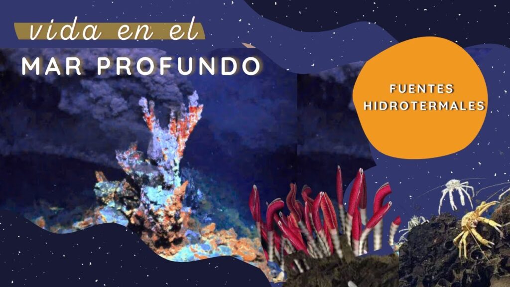Descubre Qué son las Fuentes Hidrotermales: Teoría y Proceso de Formación